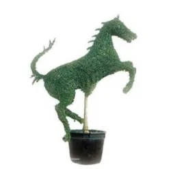 Rearing Horse (Ligustrum Delavayanum)