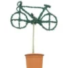 Bicycle (Ligustrum Delavayanum) -Exporteren Tuin Zorgzaam Winkel 20060529163904 1